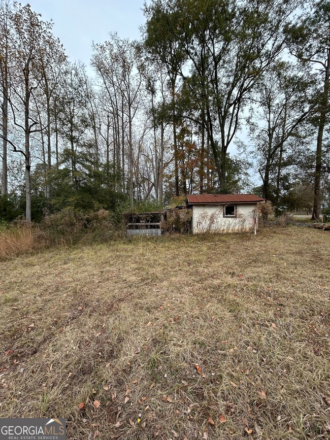 0 Center Ave unit 10648464, McRae, GA 31055 - photo 6