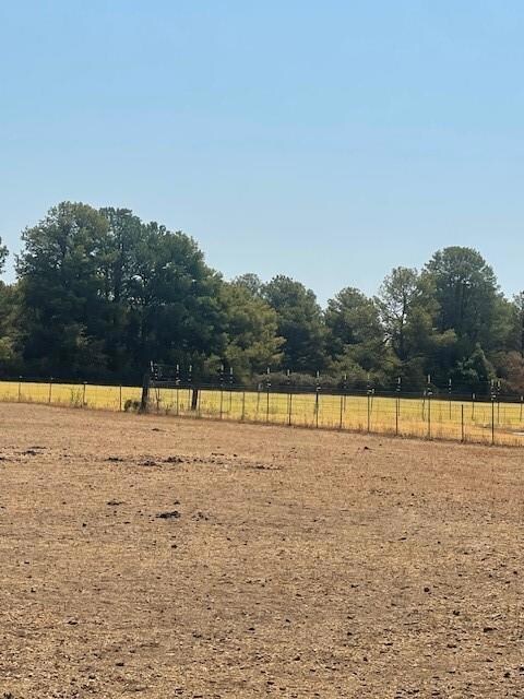 12310 Liberty School Rd, Azle, TX 76020 - photo 4