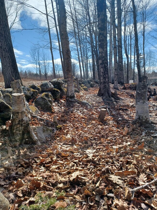 0 Sumner Rd, Paris, ME 04281 - photo 4