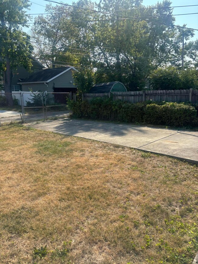Backyard
