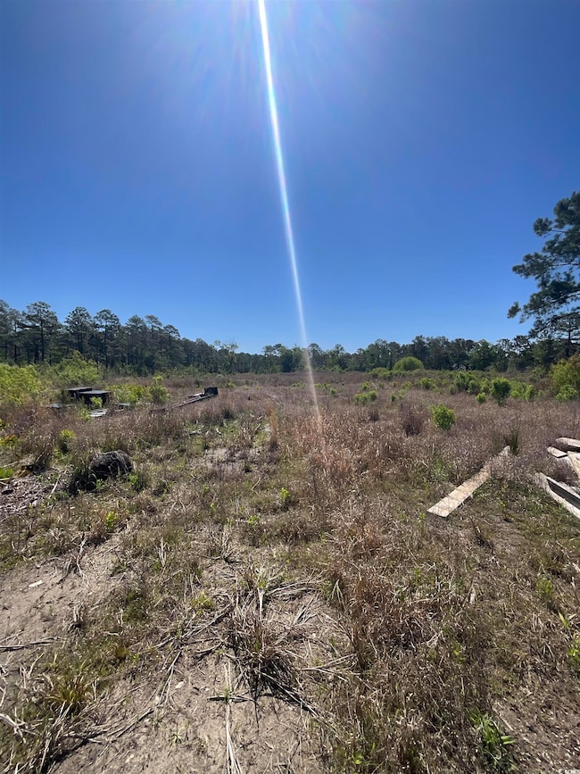 View of local wilderness featuring a rural view