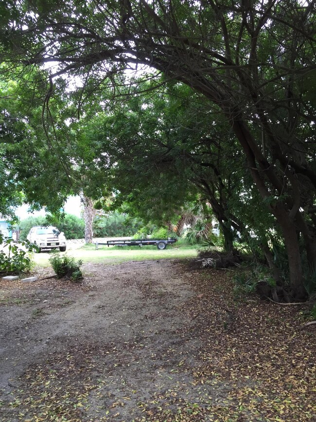 Beautiful Mature Trees on property