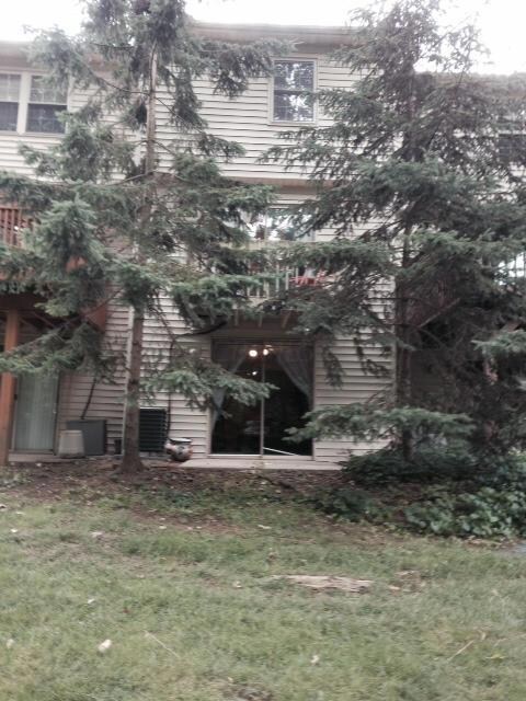 Rear of condo 2