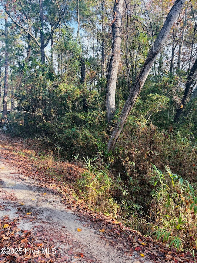 1574 Hollywood St SW, Shallotte, NC 28470 - photo 3