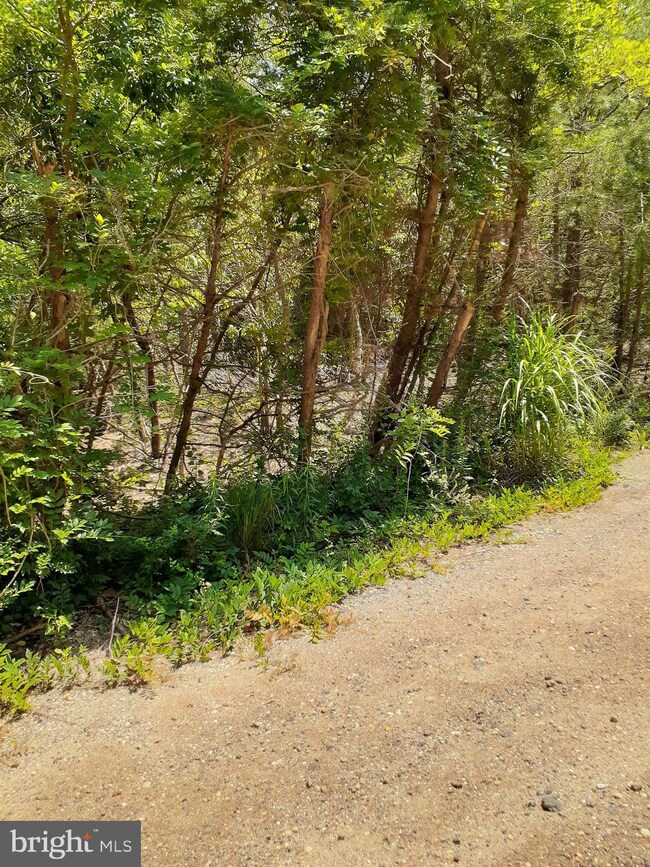 2324 Anderson Ave, Atco, NJ 08004 - photo 2