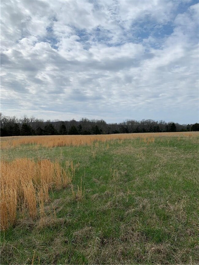 12499 Sugar Mountain Rd, West Fork, AR 72774 - photo 7