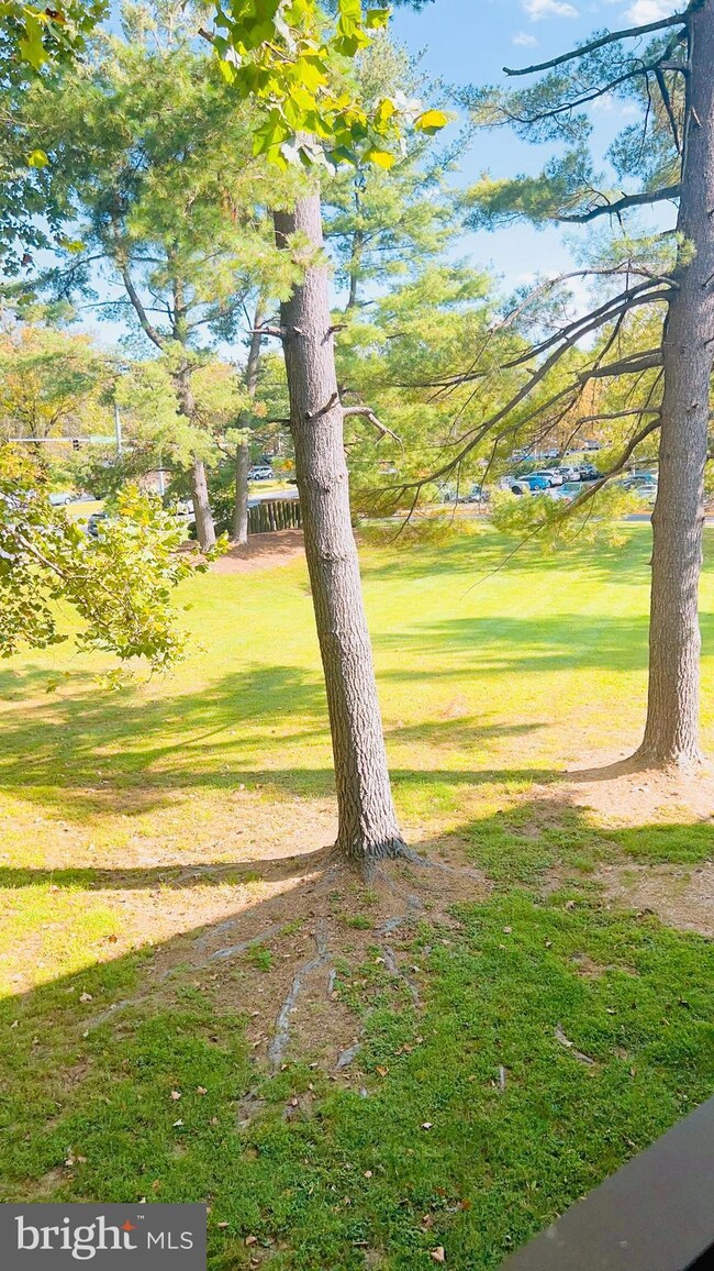 18607 Walkers Choice Rd unit 18607, Montgomery Village, MD 20886 - photo 4