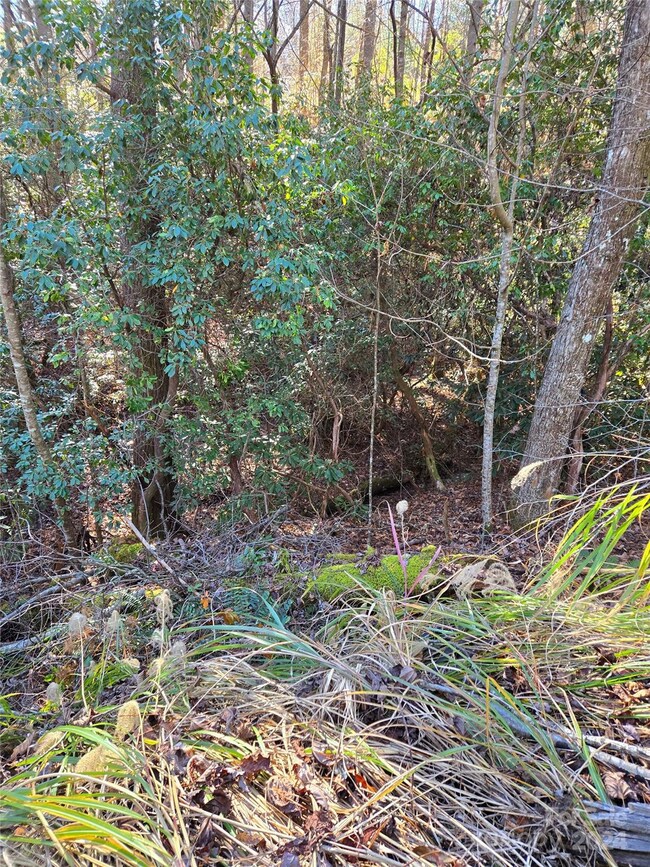 9999 Old Chestnut Ln unit 1, Hendersonville, NC 28739 - photo 5