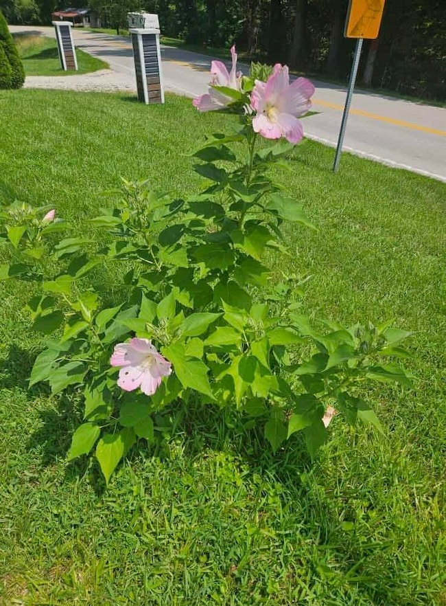 att.VQO_P1kbtIeje4OrUKfkzu1J3MinuDefwXnp