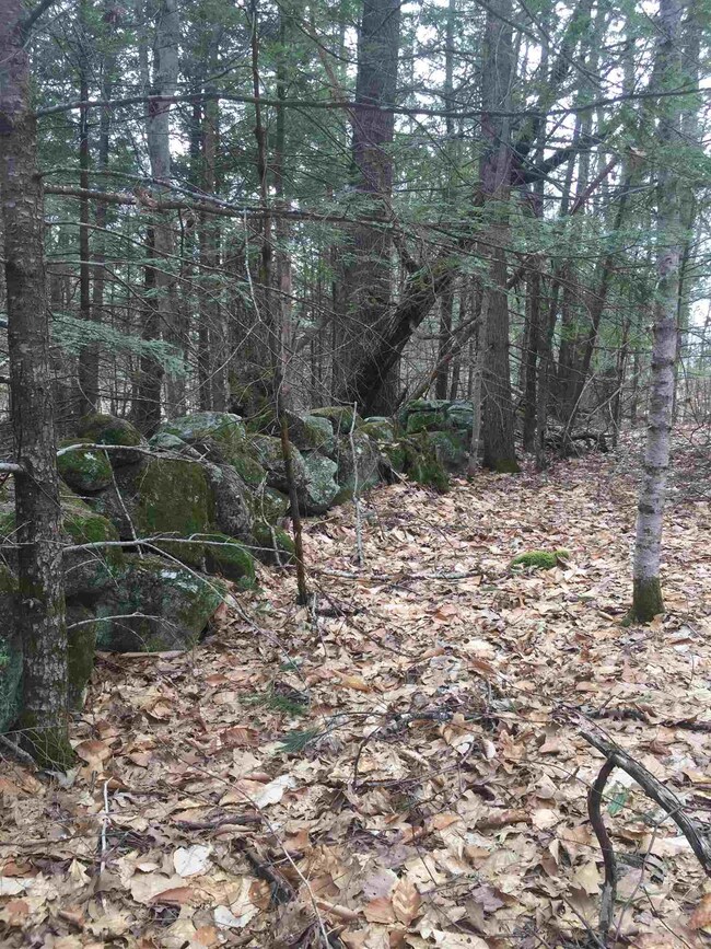 0 Joanna St unit tax lot number 029, Moultonborough, NH 03254 - photo 5