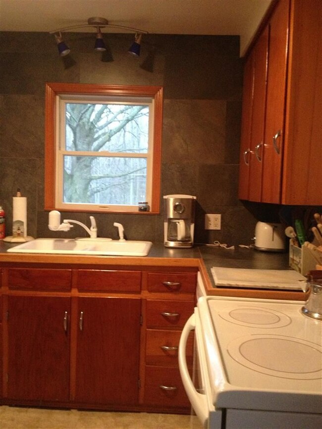 650 Flanders St, Chelsea, MI 48118 - photo 4