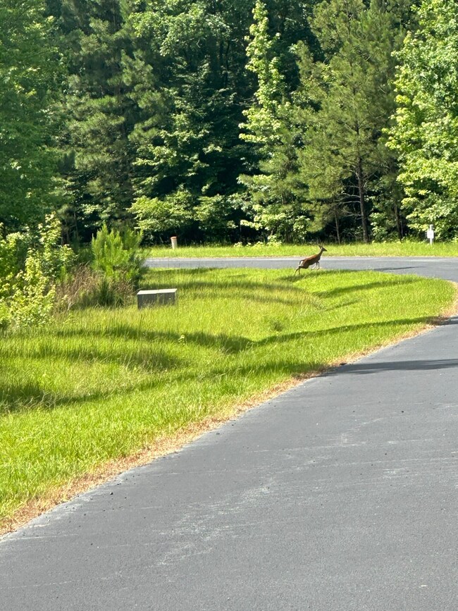 Lot 11 S Pointe Ct, Tignall, GA 30668 - photo 7