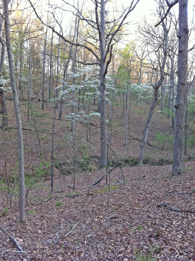 Compton Hollow-3 copy