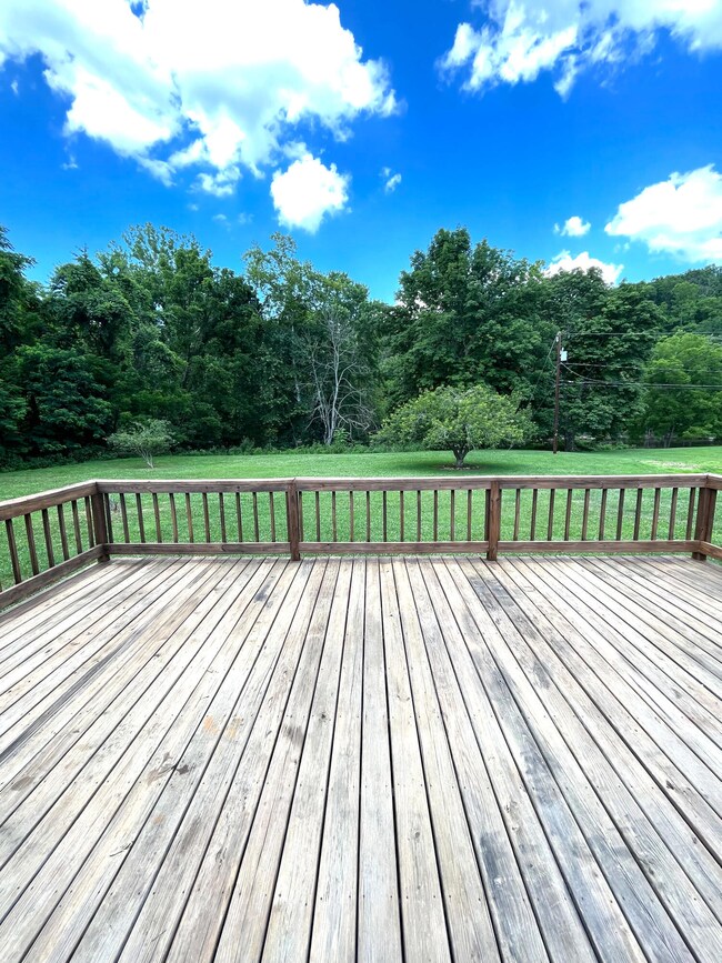 Back Deck 2