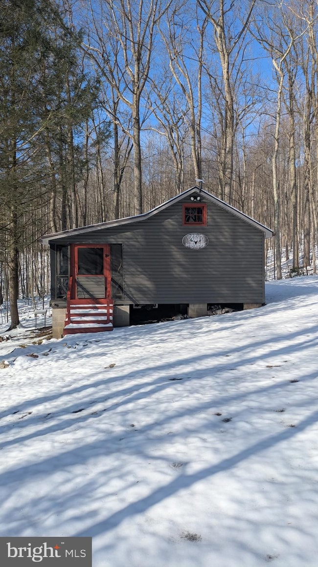 4202 Tram Rd, Petersburg, PA 16669 - photo 4