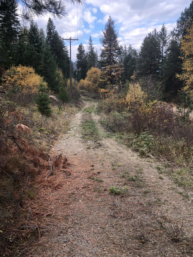 2190 Heine Rd, Chewelah, WA 99109 - photo 5