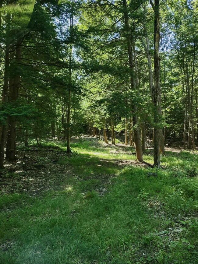 55 Mine Rd unit 17-1-1, Winchester, NH 03470 - photo 3