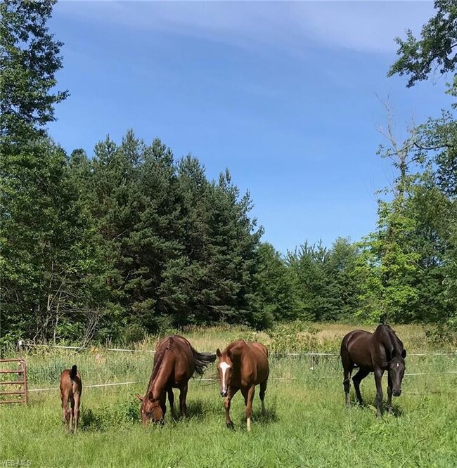 2796 Porter Rd, Atwater, OH 44201 - photo 5