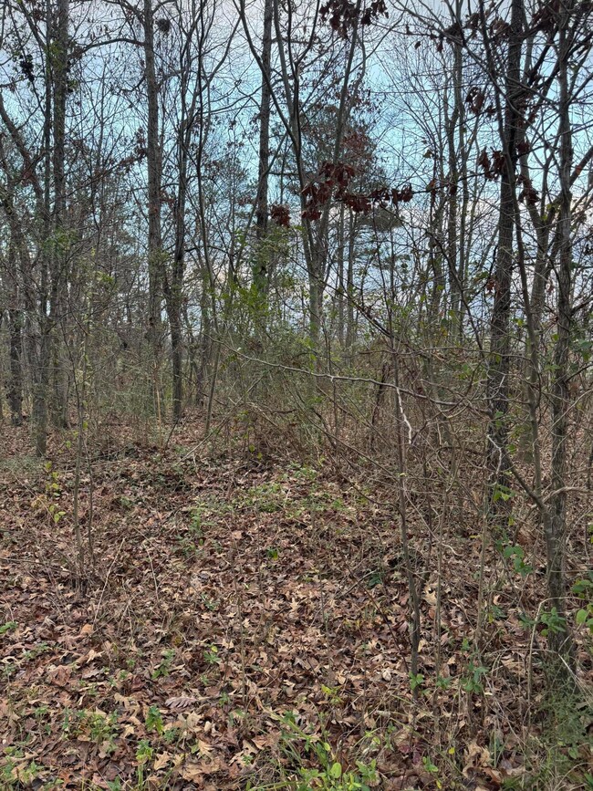 00 County Road 517, Englewood, TN 37329 - photo 6