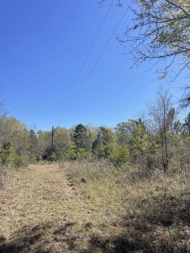 160 Old Nesbitt Rd, Cordele, GA 31015 - photo 2