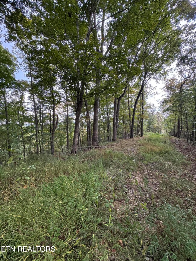 0 River Rd unit 1315659, Huntsville, TN 37756 - photo 7