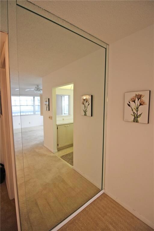 Living Room Reflection