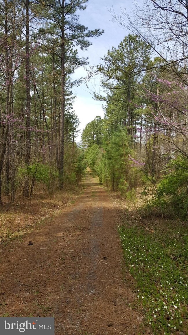 0 Rainbow Way unit 1001928590, Front Royal, VA 22630 - photo 6