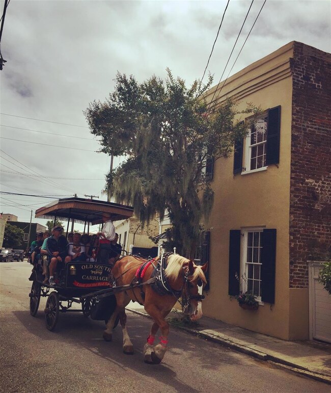 Meredith Hastings Manley - 5 - Horse and
