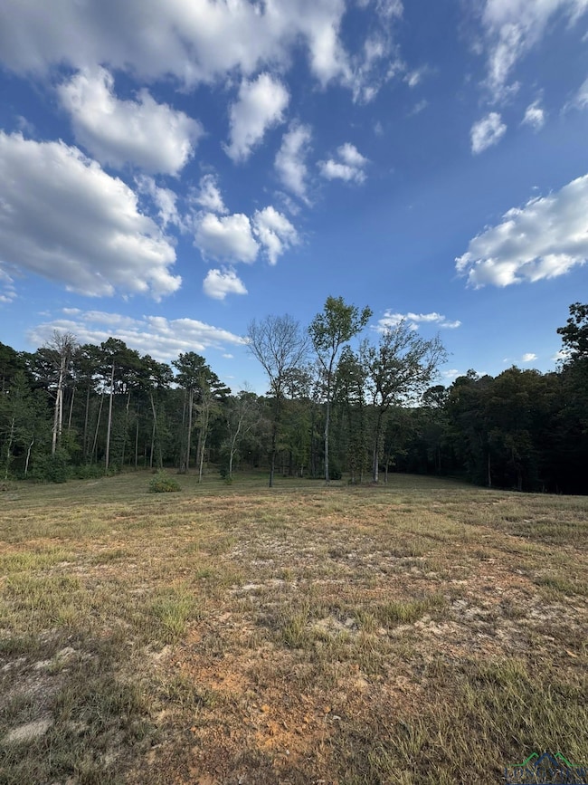 2401 S Williams St, Atlanta, TX 75551 - photo 6