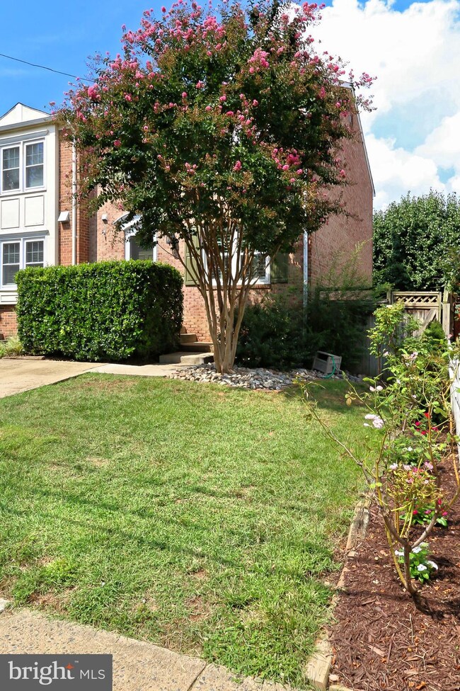 811 Bernard St, Alexandria, VA 22314 - photo 2