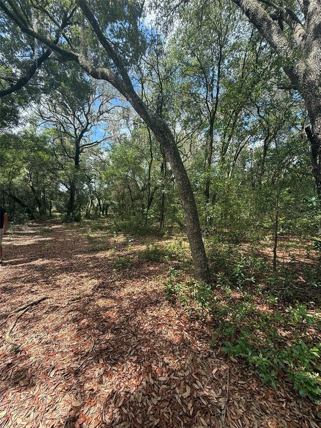 LOT 132 Duncan Ave, Interlachen, FL 32148 - photo 6