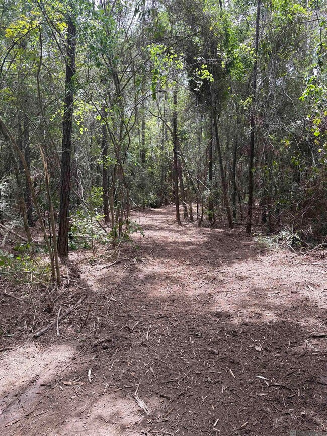 83194 Isabel Swamp Rd, Bush, LA 70431 - photo 6