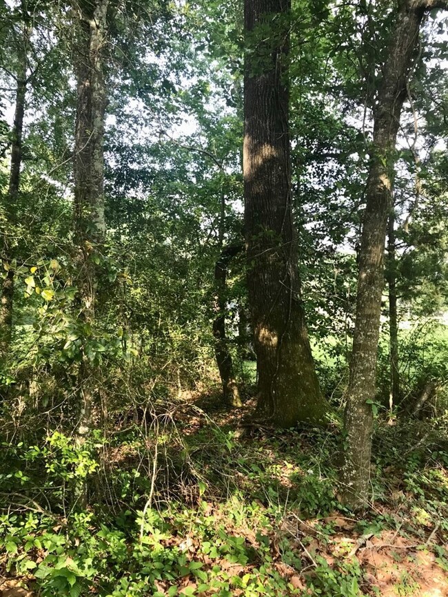 0 Fm 1475 unit 62436, Huntington, TX 75949 - photo 7