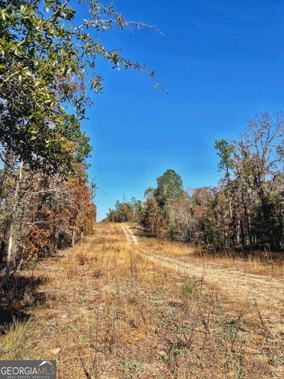 0 Highway 56 S unit 10646183, Swainsboro, GA 30401 - photo 4