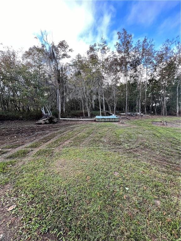 0 Blind River Camp 85 None unit 2530711, St. James, LA 70086 - photo 5