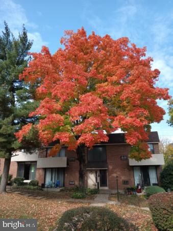 100 E Glenolden Ave unit P3, Glenolden, PA 19036 - photo 3