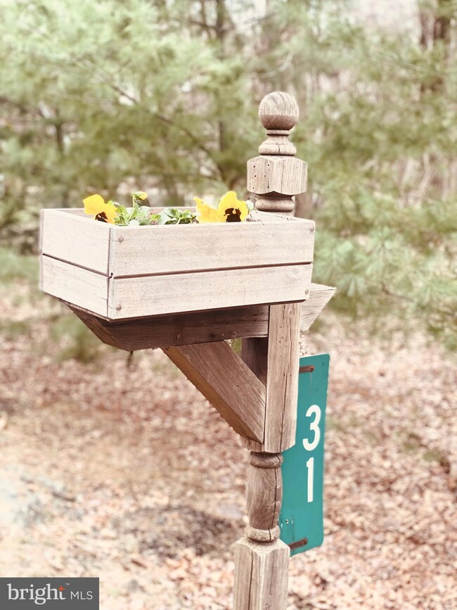 31 Dilldown Dr, Jim Thorpe, PA 18229 - photo 2