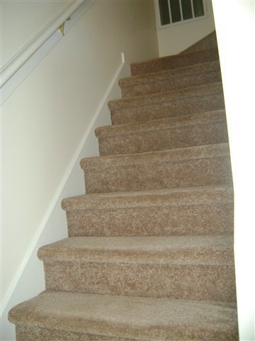 333 Bracken Place, Jacksonville, NC 28540 - photo 4