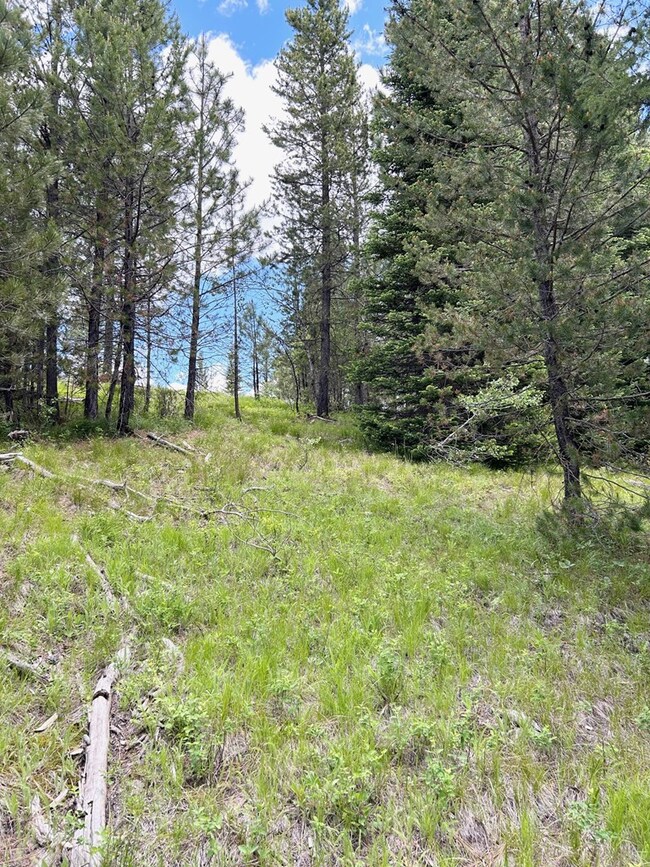 Lot 31 Sawtooth Loop unit Lot 31, Cascade, ID 83611 - photo 2