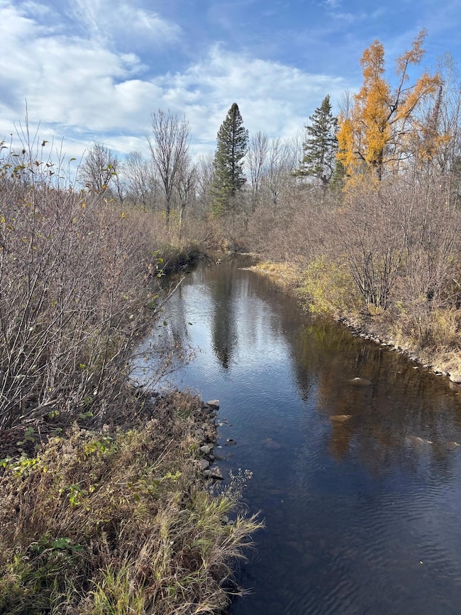 OFF Peterson Rd, Antigo, WI 54409 - photo 3