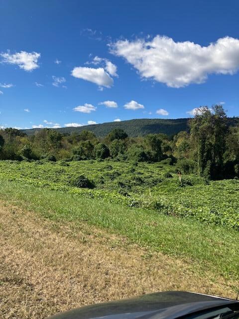 0 Rhea County Hwy 27 unit 20245033, Spring City, TN 37381 - photo 4