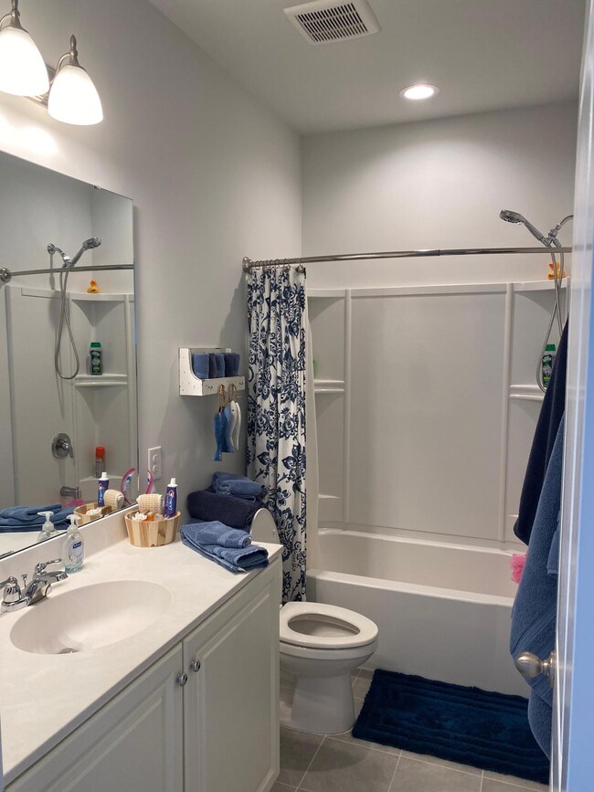 Guest Bath 1