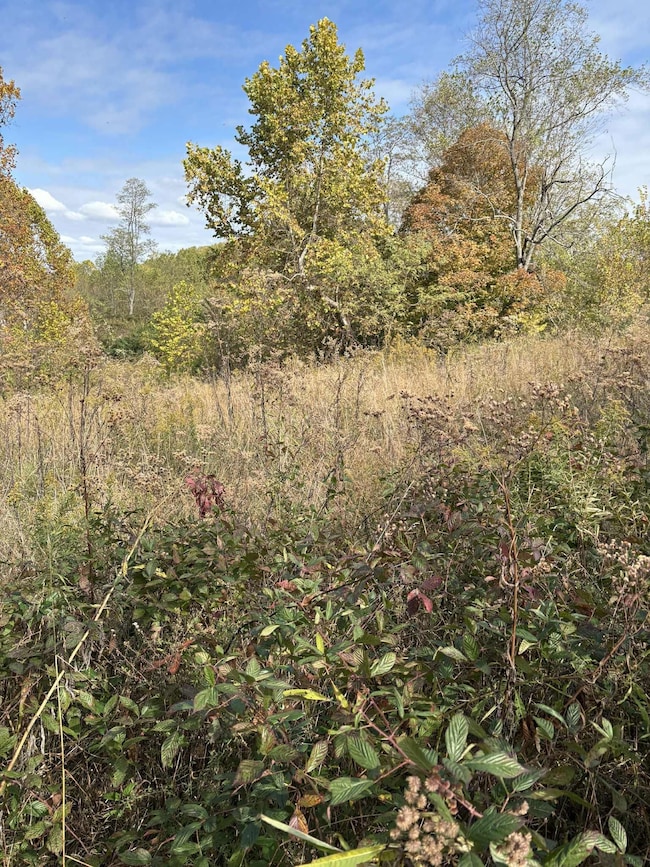 Pine Grove Ch Spur Rd, Vanceburg, KY 41179 - photo 4