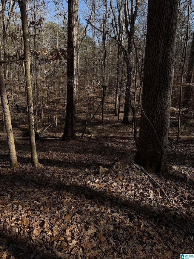 3 Oakmont Dr, Alabaster, AL 35007 - photo 2