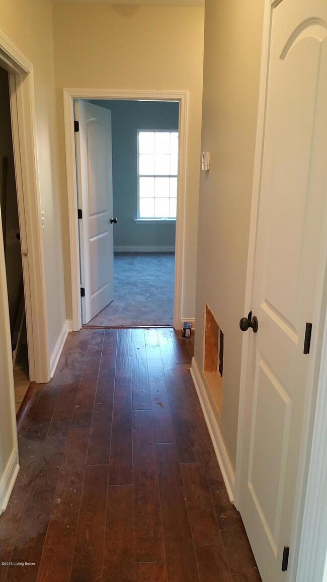 517 Concord Grape Way, Vine Grove, KY 40175 - photo 5