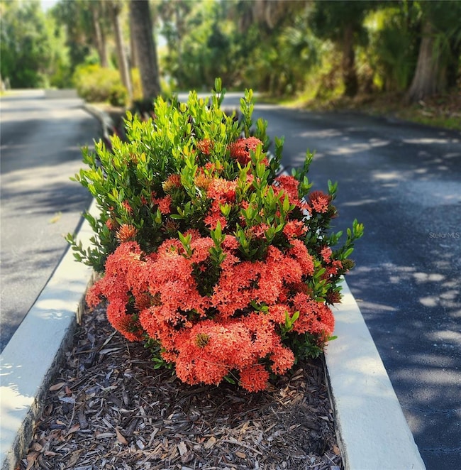 beautiful landscaping