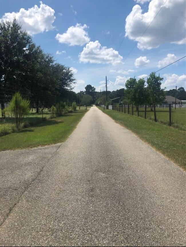 00002 Stuebner Airline Rd, Tomball, TX 77375 - photo 3