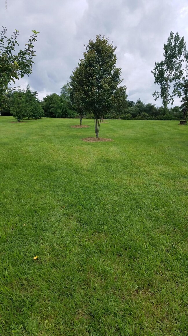 31 Fenerty Ln, Turbotville, PA 17772 - photo 4