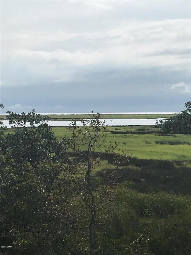 Masonboro Island