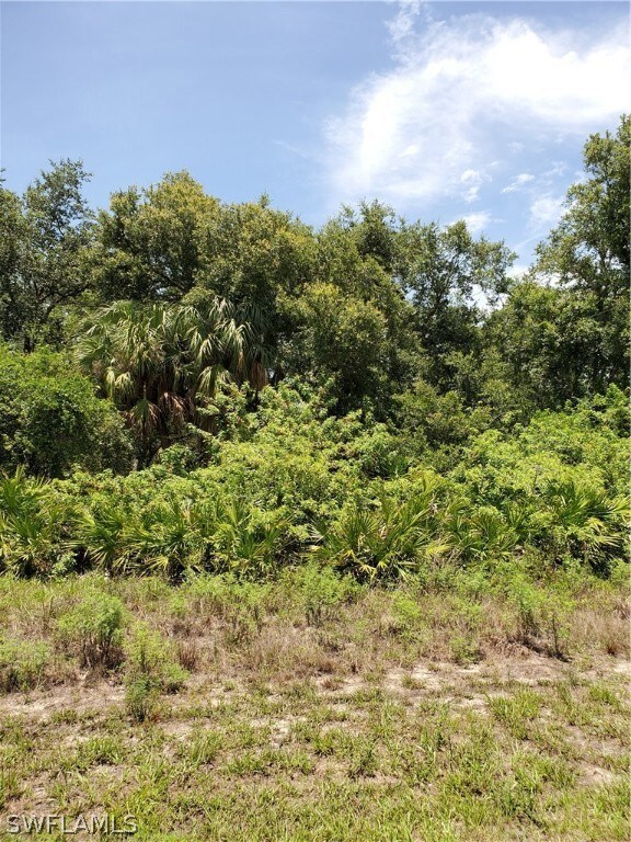 2903 E 18th St, Lehigh Acres, FL 33972 - photo 6